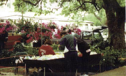 Picture of Market Days