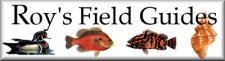 Roy's Field Guides, Rockport, Texas